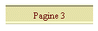 Pagine 3