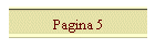 Pagina 5