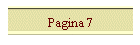 Pagina 7