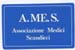 1990_ames1